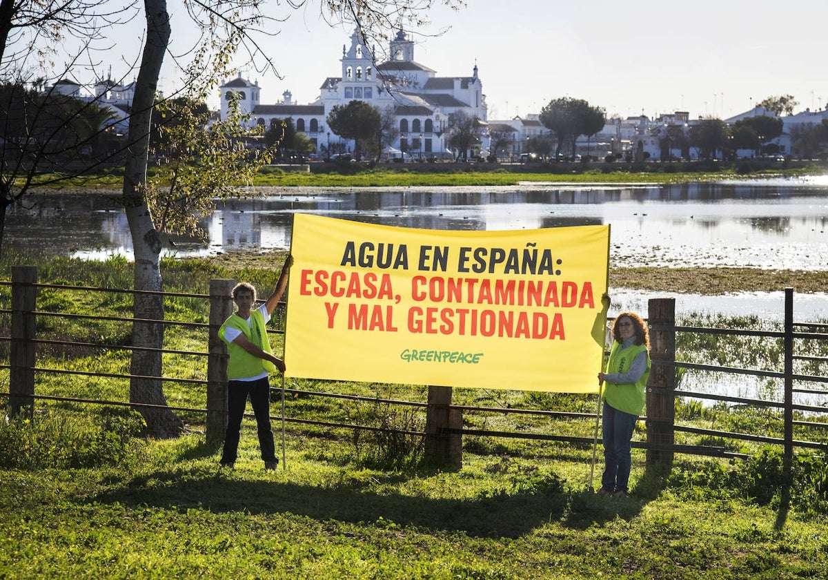 Activistas de Greenpeace protestan en Doñana con motivo del Día del Agua