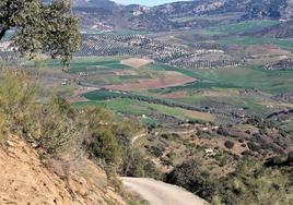 En esta ruta durante la primavera se puede ver un paisaje lleno de contrastes.