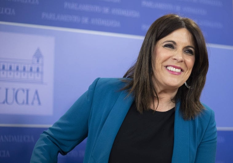 La nueva comisión de investigación de la FAFFE se constituirá sin diputados del PSOE y Por Andalucía