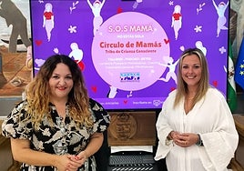 Acto de presentación de la iniciativa, este miércoles en el salón de plenos rinconero.