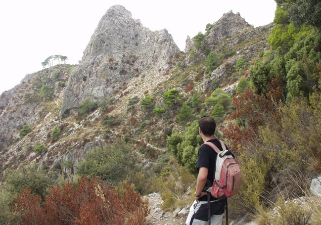 Camino del Almendrón, en la sierra de Almijara.