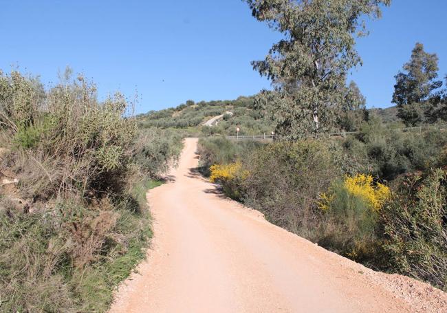 El camino de la Solana es prácticamente llano.