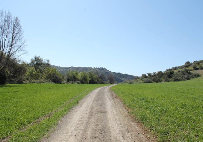 Se puede regresar por el mismo sendero