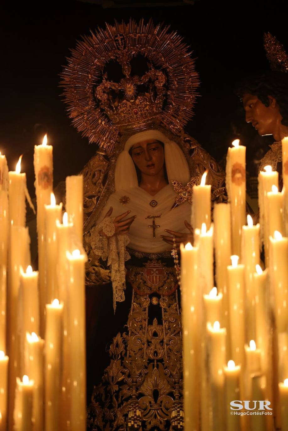 Semana Santa de Málaga 2023: Domingo de Ramos