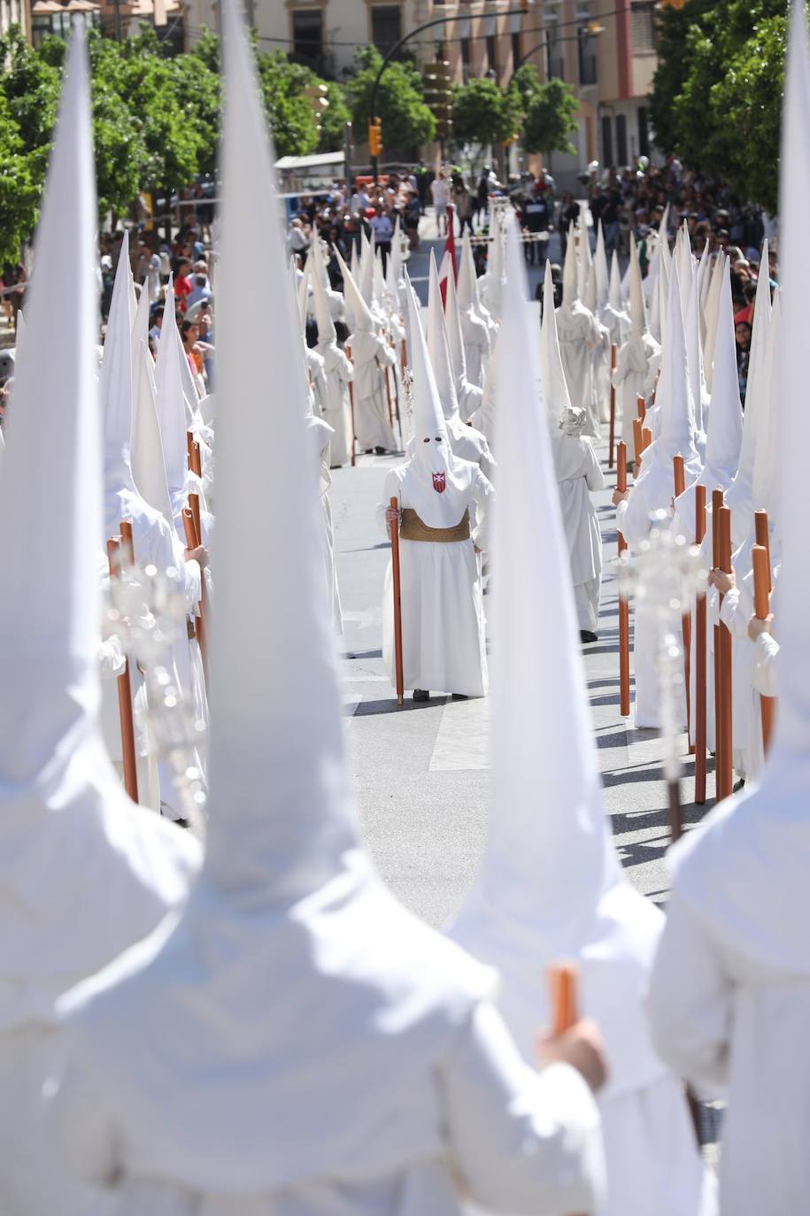 Semana Santa de Málaga 2023: Domingo de Ramos