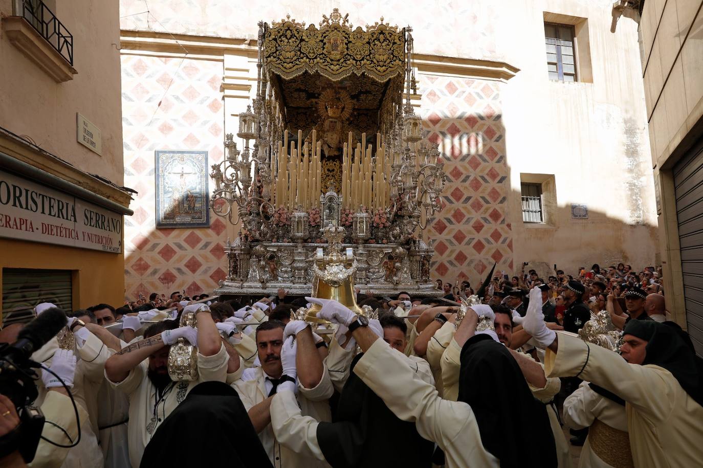 Semana Santa de Málaga 2023: Domingo de Ramos