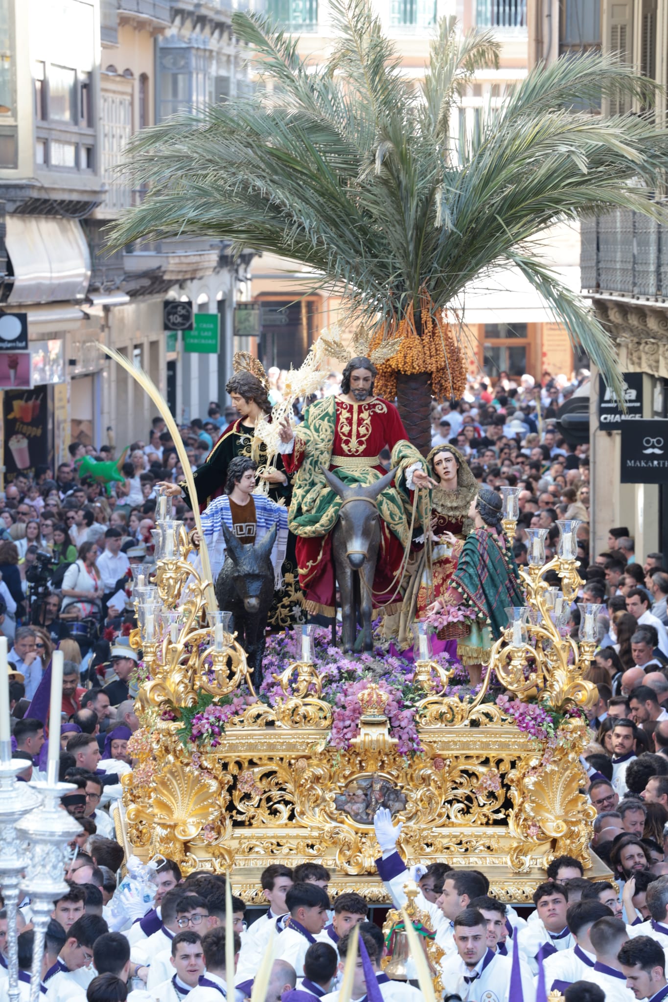 Semana Santa de Málaga 2023: Domingo de Ramos