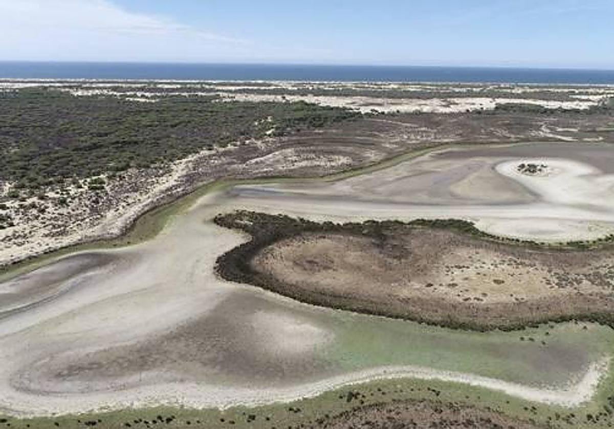 Los efectos de la sequía se dejan notar en las lagunas de Doñana.