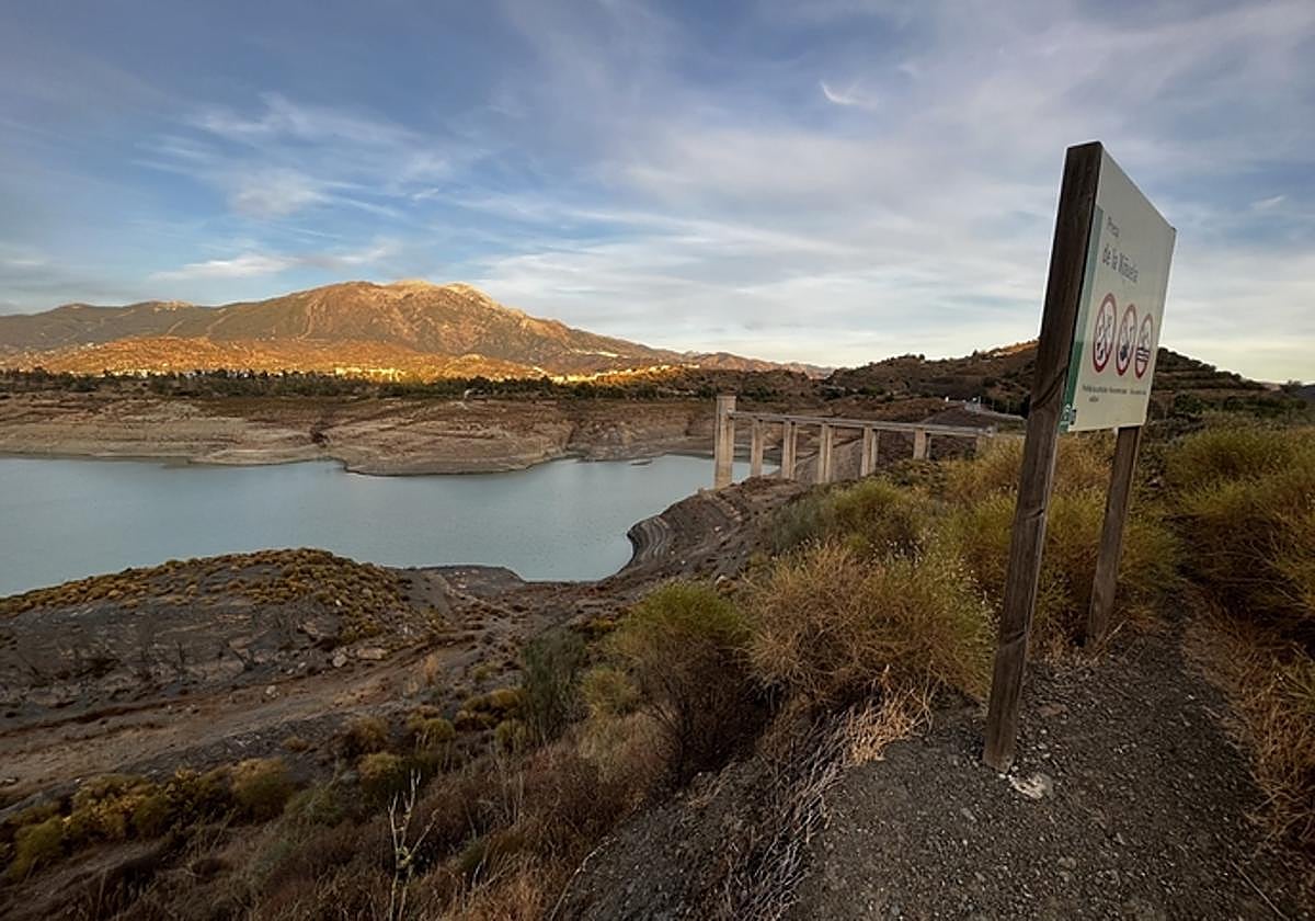 El aumento de las sequías está alterando los microbios del suelo que capturan carbono