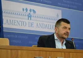 El portavoz parlamentario del PP-A, Toni Martín.