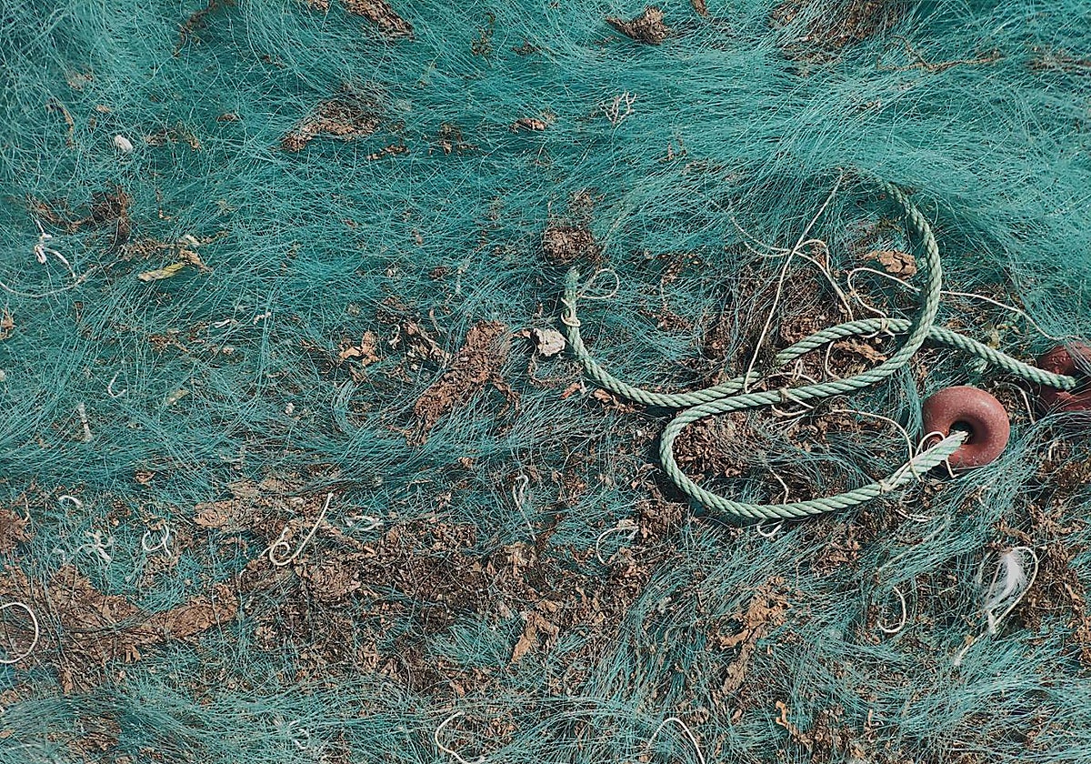 Las artes infectadas de los pescadores son un vector de dispersión del alga invasora.