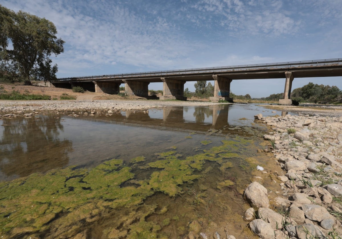 Estado actual del río Grande, el principal afluente del Guadalhorce.