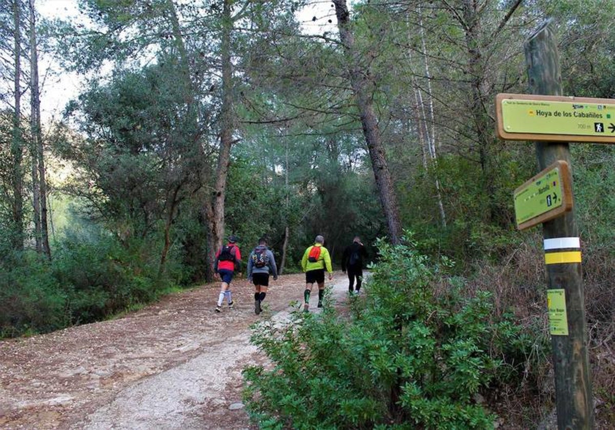 El programa Salidas a la Naturaleza ofrece tres nuevas rutas en mayo.