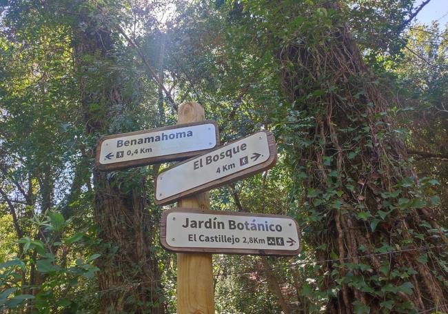 Si se regresa a pie por el mismo camino, se puede visitar un jardín botánico