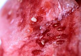 Dos estudios evidencian los beneficios para la salud cardiometabólica del consumo regular de sandía