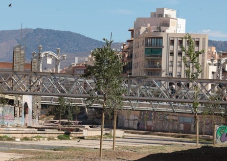 Imagen secundaria 1 - El Guadalmedina se lava la cara... por elecciones