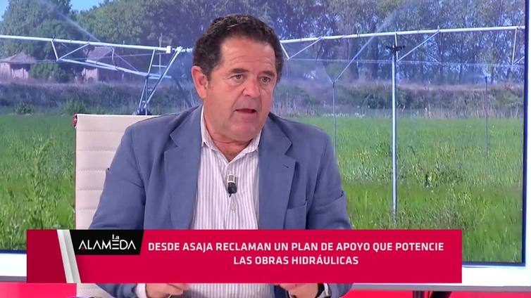 Baldomero Bellido, presidente de Asaja, en el programa 'La Alameda'