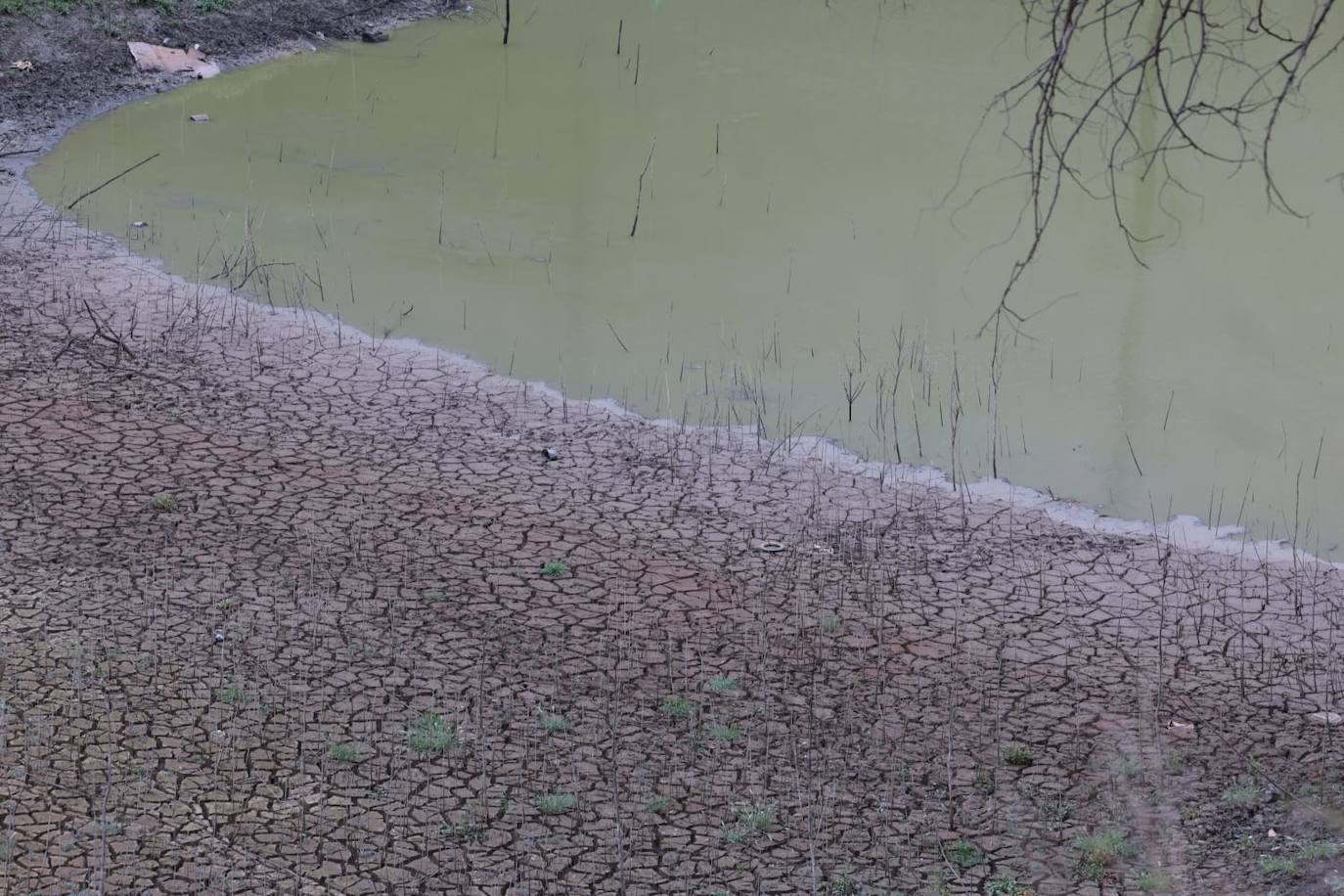La presa de El Limonero, el jueves por la tarde