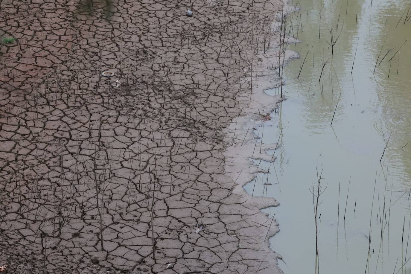 La presa de El Limonero, el jueves por la tarde