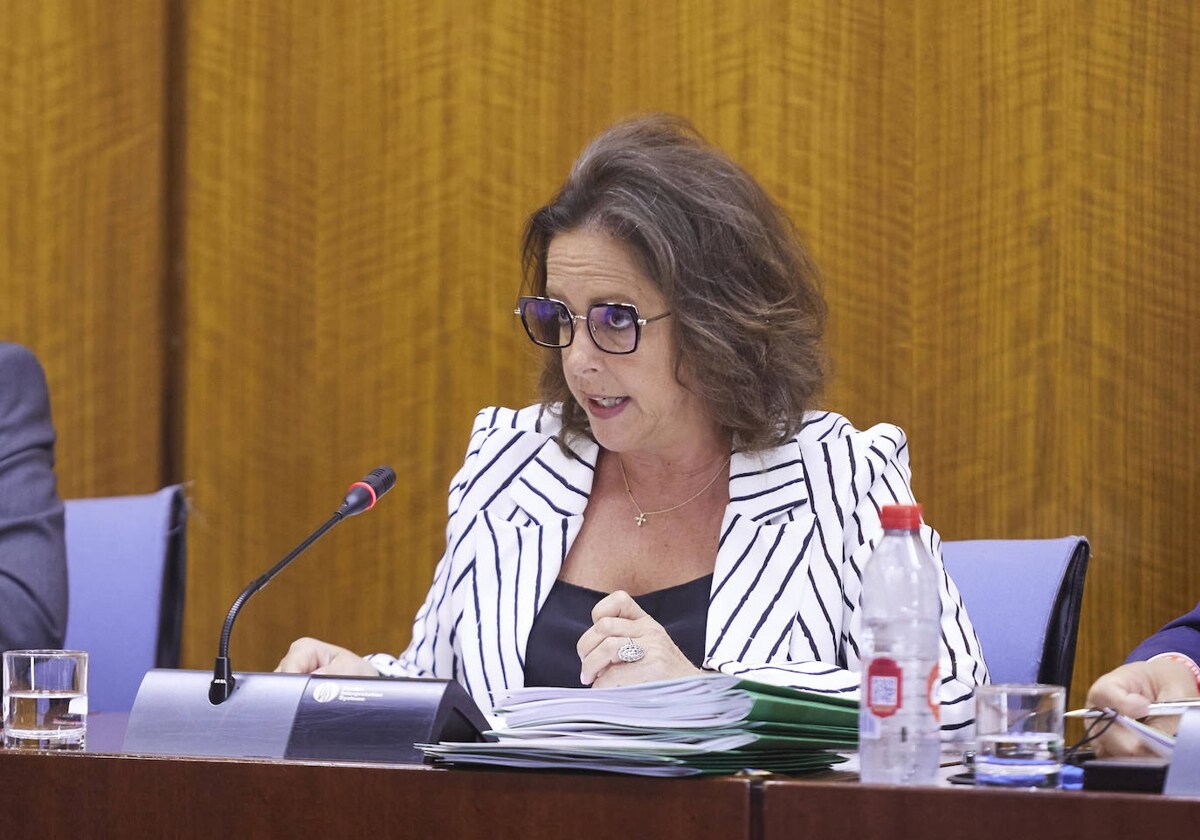 La consejera Catalina García, ayer en la comisión parlamentaria.