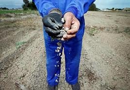 El CSIC advierte que la cantidad de agua crea cambios «bruscos» en la biodiversidad y el suelo