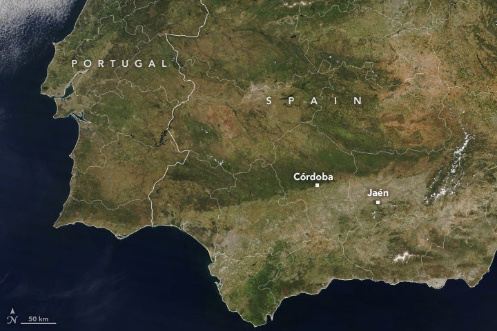 Imagen antes - La preocupante imagen de la NASA sobre los estragos de la sequía en Andalucía