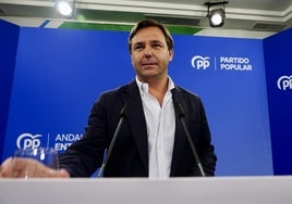 El secretario general del PP-A, Antonio Repullo.