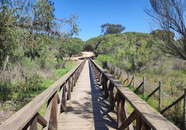 En los últimos metros hay varios puentes de madera como éste