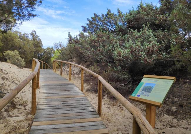 Relativamente cerca está el paraje natural de Los Enebrales