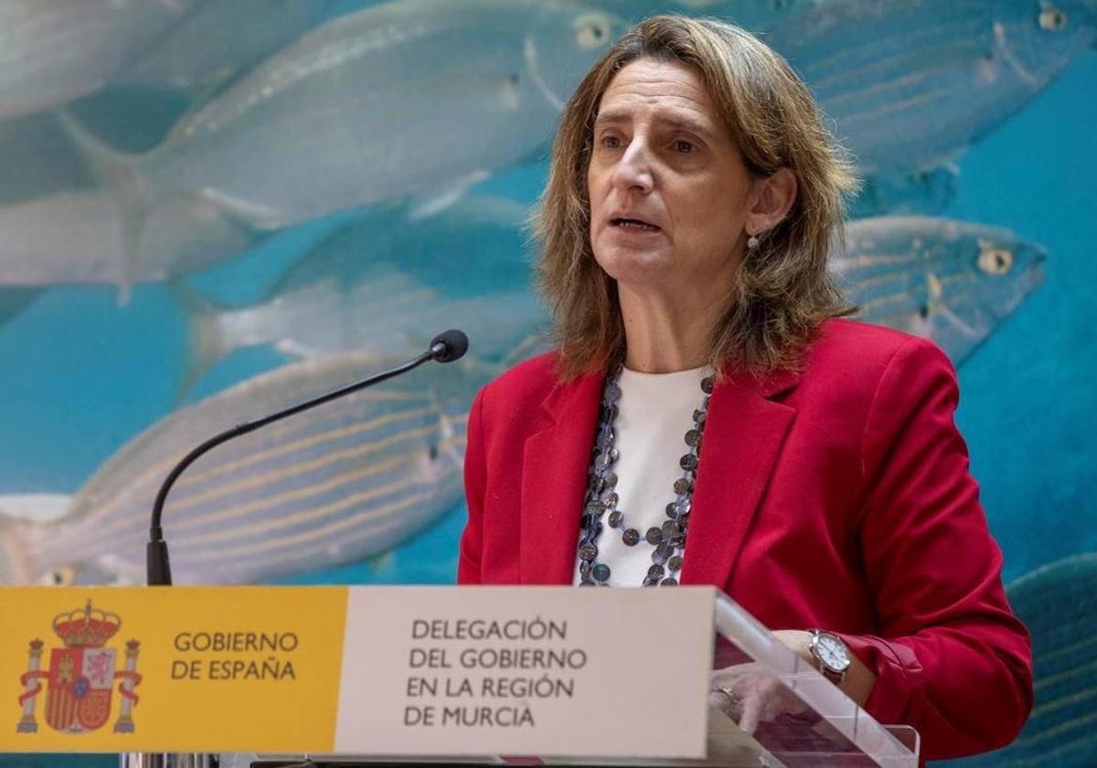 Teresa Ribera, vicepresidenta tercera del Gobierno.