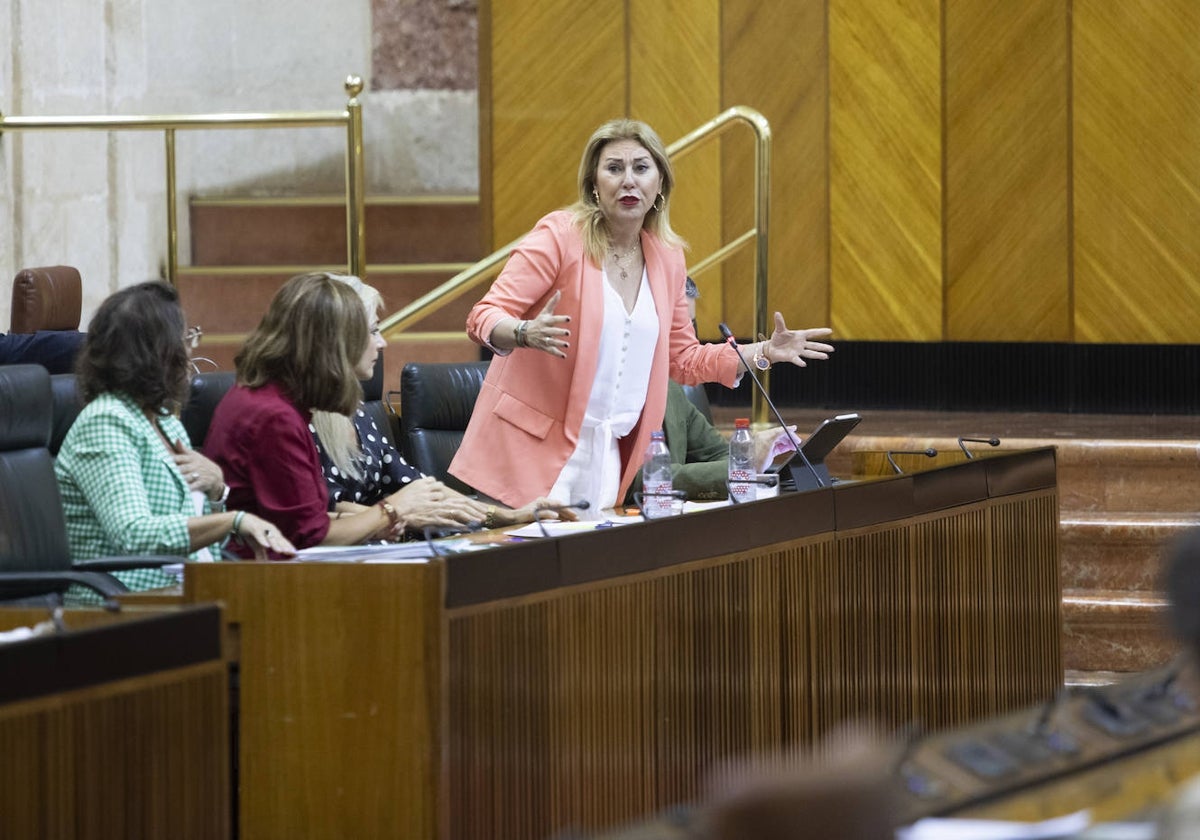 La consejera de Economía, en una intervención parlamentaria esta semana.