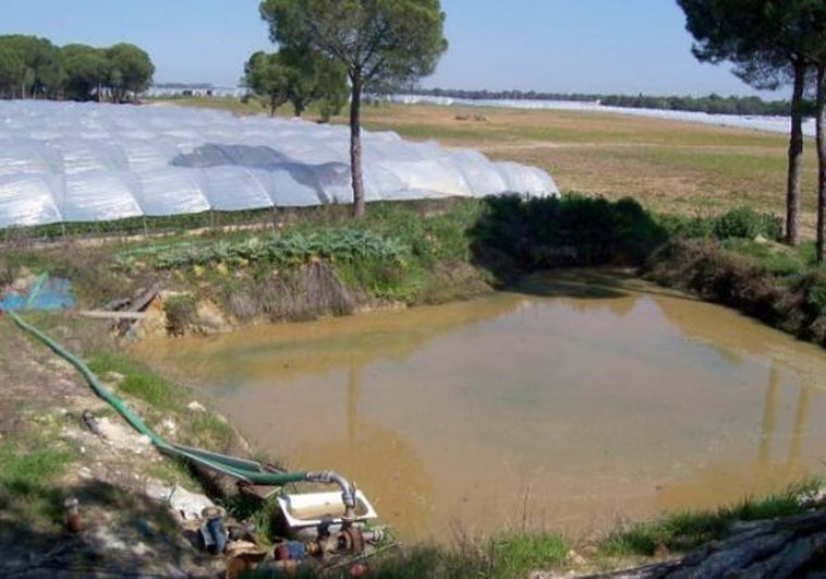 Imagen de una balsa para riego en el entrono de Doñana.