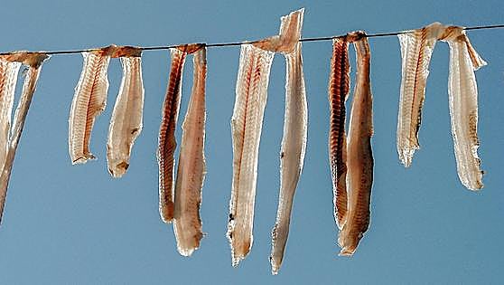 Tirillas de pintarroja, el antiguo 'jamón' de los pescadores