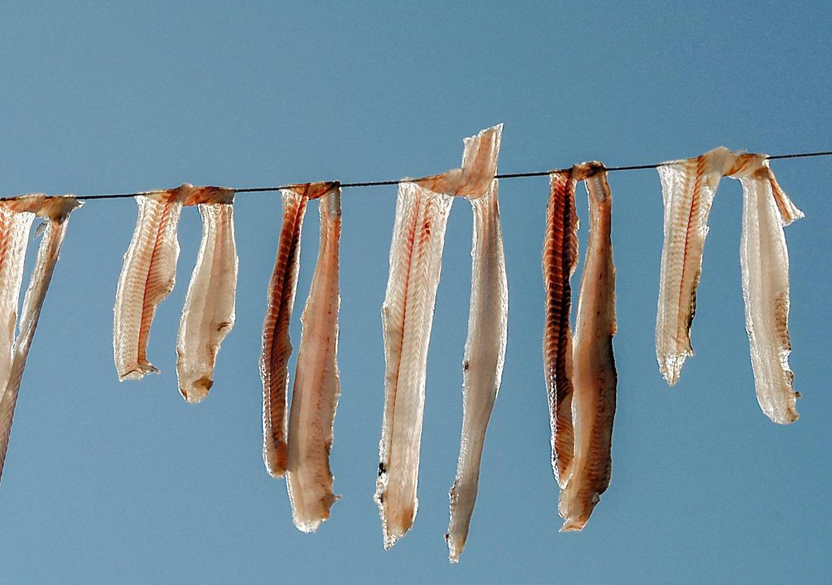 Tirillas de pintarroja, el antiguo 'jamón' de los pescadores
