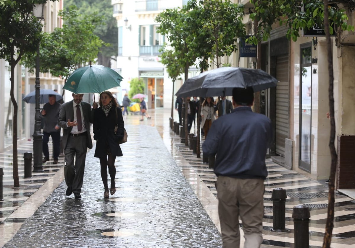 Transeúntes bajo los paraguas en el Centro de Málaga.