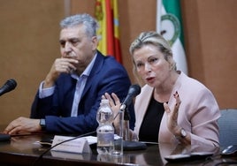 Sergio Cubero, presidente de la Cámara de Comercio, y Carmen Sánchez, delegada de Empleo, durante la presentación de este plan de formación.