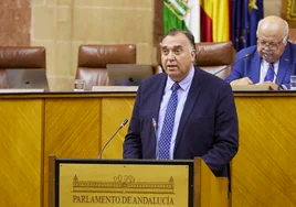 Arturo Bernal, durante su intervención en el Parlamento este miércoles.