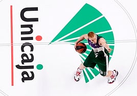 Alberto Díaz, durante un partido en el Palacio de los Deportes.