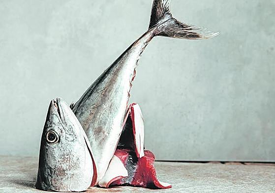 Bonito del sur, el hermano no tan pobre del atún