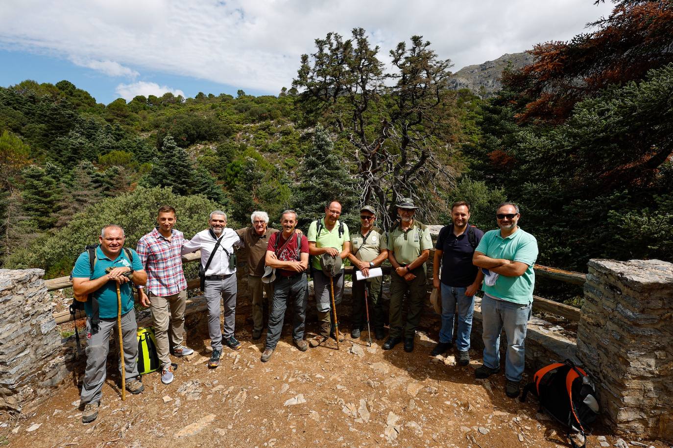 La situación de los pinsapos en la Sierra de las Nieves por la sequía, en imágenes