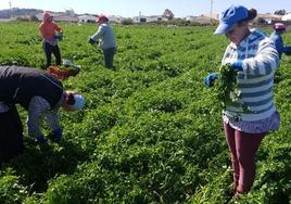 Sindicatos y Asaja suscriben el convenio agropecuario hasta 2025