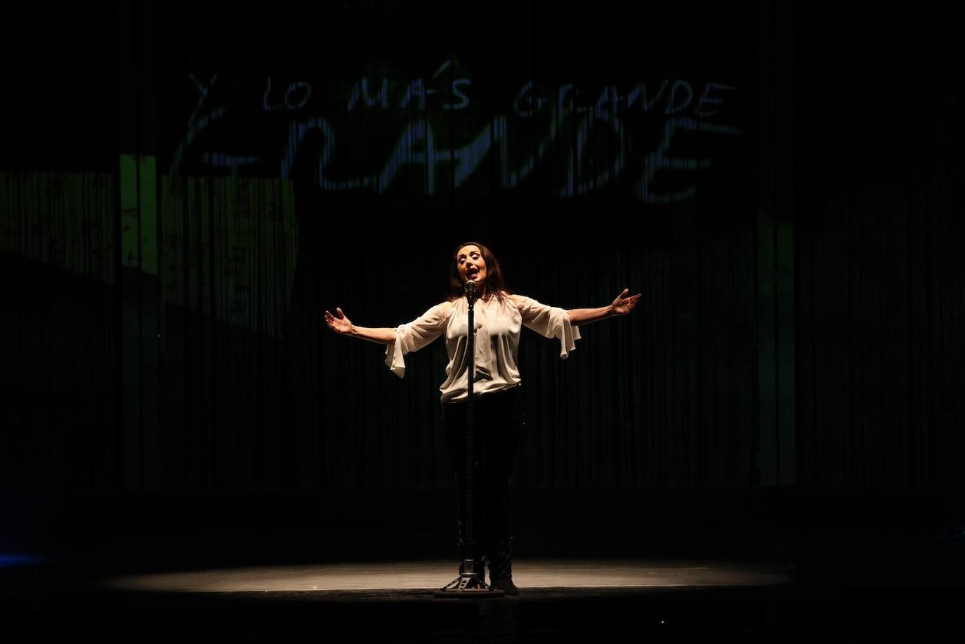 Luz Casal conquista el Teatro Cervantes