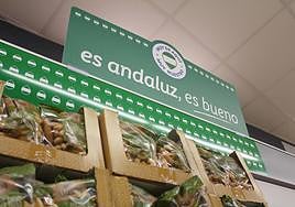 Lidl aumenta más de un 30% sus compras en Andalucía en los tres últimos años