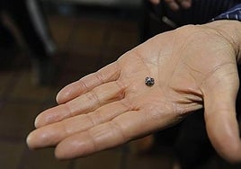 Munición similar a la utilizada.