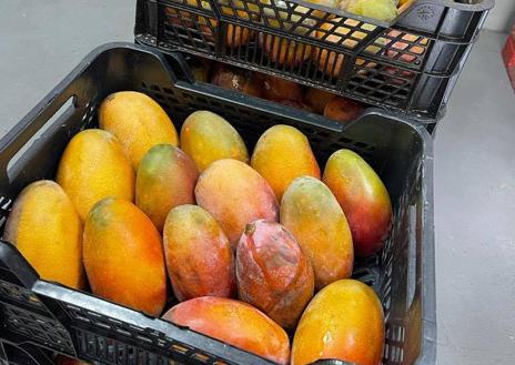 Imagen secundaria 1 - Arriba, helado de brevas de San Juan. Abajo, el obrador se abastece de fruta fresca y de calidad, como estos mangos de la Axarquía. Al lado, helado de tomate huevo de toro en un evento.