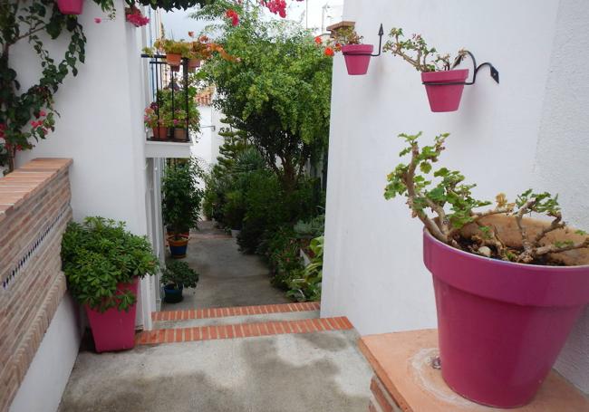 Tipismo. Estepona ofrece su jardín de la Costa del Sol