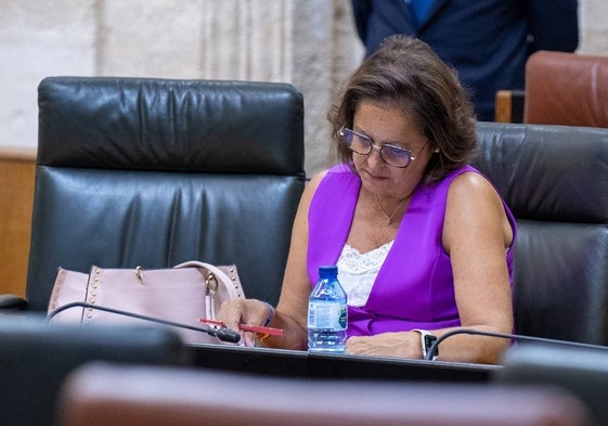 La consejera de Salud, Catalina García, durante su comparecencia parlamentaria.