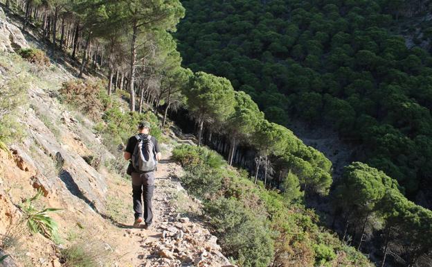 Foto de archivo de la Cañada Gertrudis, en la sierra de Mijas