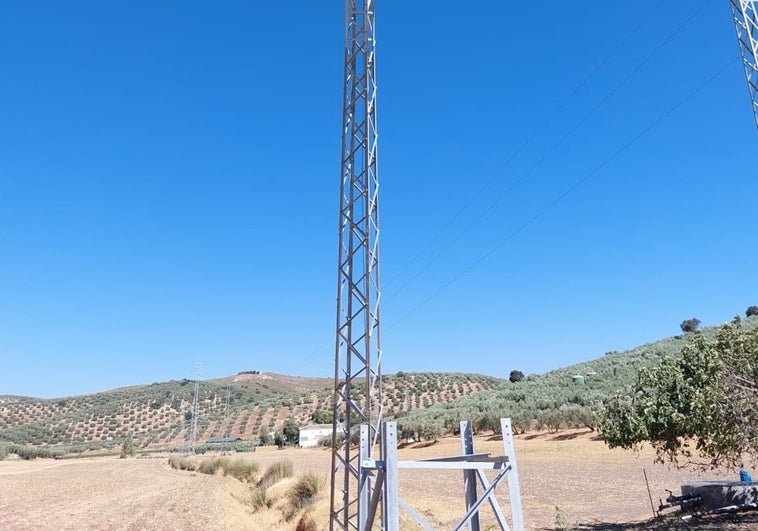 Endesa revisa desde el aire más de 15.500 kilómetros de red eléctrica en Andalucía para garantizar el suministro