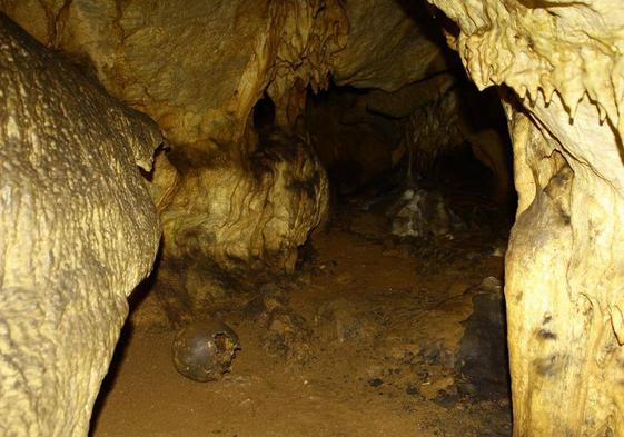 Pare de un cráneo en las galerías altas de la Cueva de Ardales.